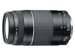 Picture of Canon 75-300mm Lens 